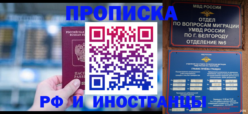 помощь с пропиской для детского сада в Богородске